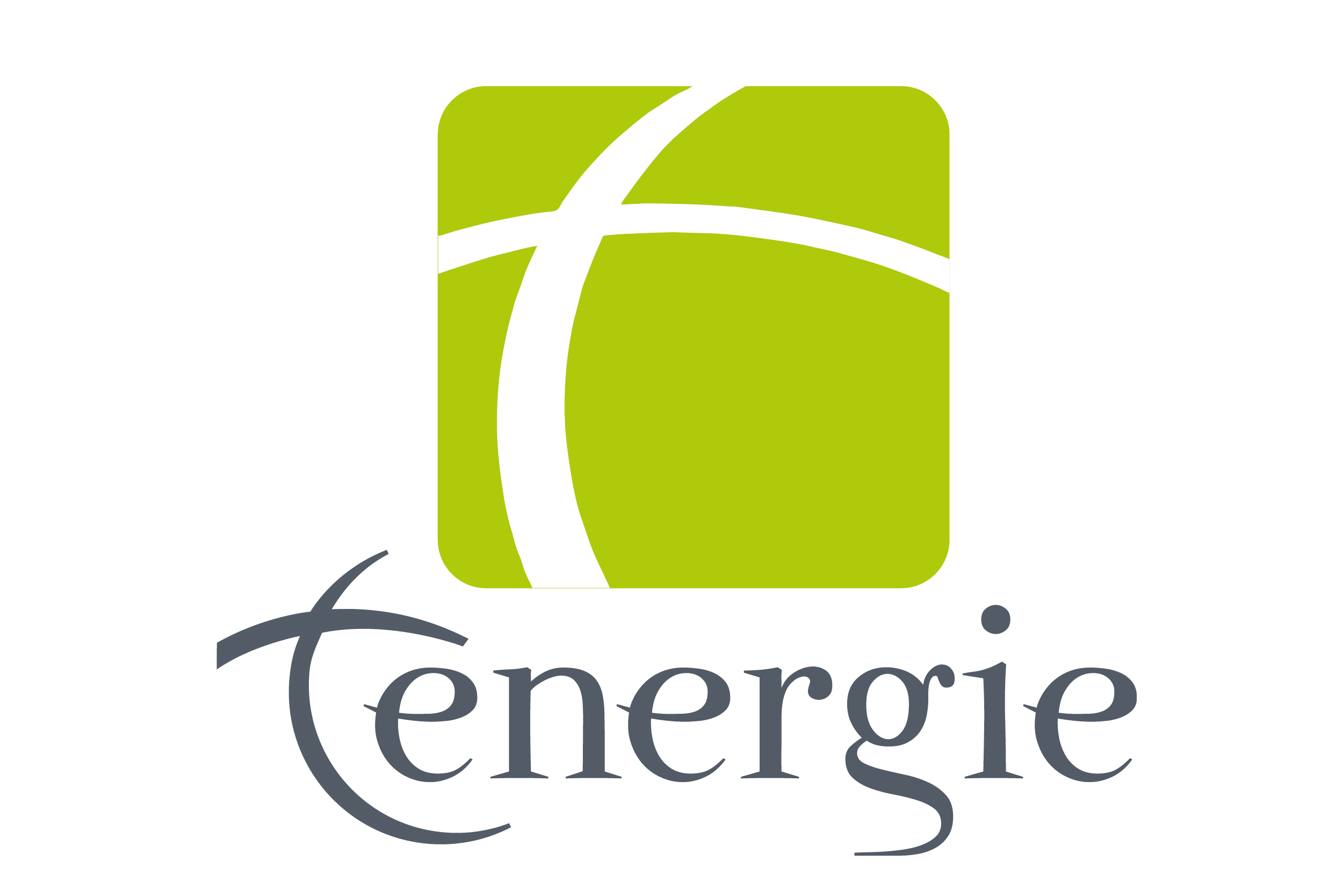 Petit logo tenergie carre