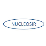 Logo nucleosir