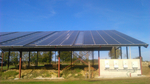 Nucleosun 5